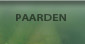Paarden