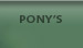 Pony's